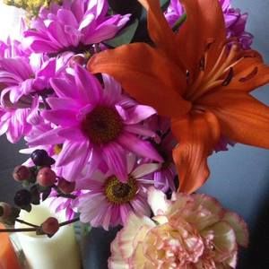 Meet your Posher, Persondra